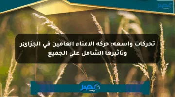 تحركات واسعة: حركة الأمناء العامين في الجزائر وتأثيرها الشامل على الجميع